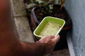Como o Fenômeno El Niño Pode Elevar os Casos de Chikungunya e Dengue no Brasil