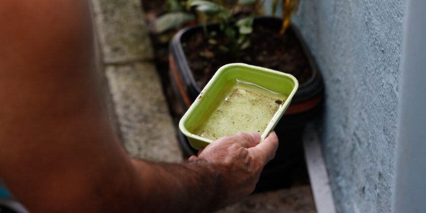 Como o Fenômeno El Niño Pode Elevar os Casos de Chikungunya e Dengue no Brasil